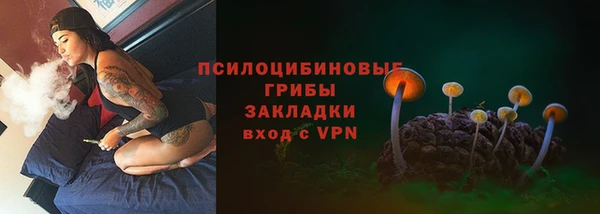 a pvp Абаза