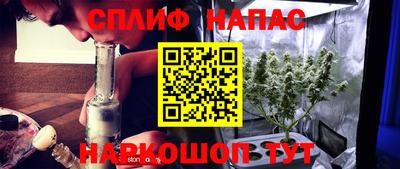 прущие грибы Мариинск