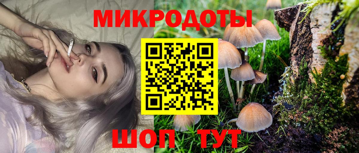 Псилоцибиновые грибы мухоморы Братск