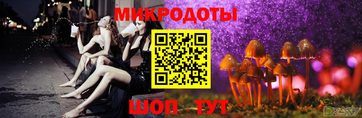 Братск  Псилоцибиновые грибы Psilocybe  цена   Вход с VPN 
